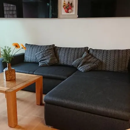 Schwarzwaldidylle 公寓 拜尔斯布龙