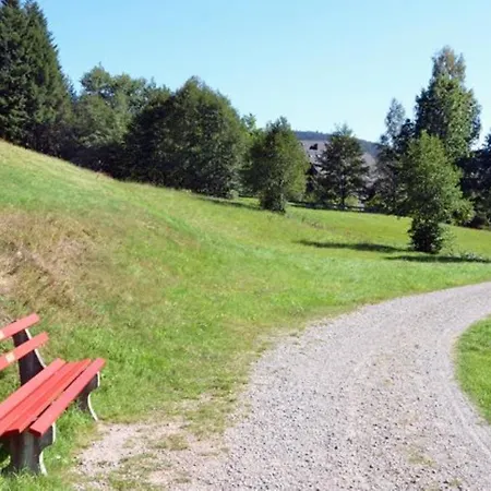 Schwarzwaldidylle 公寓 *