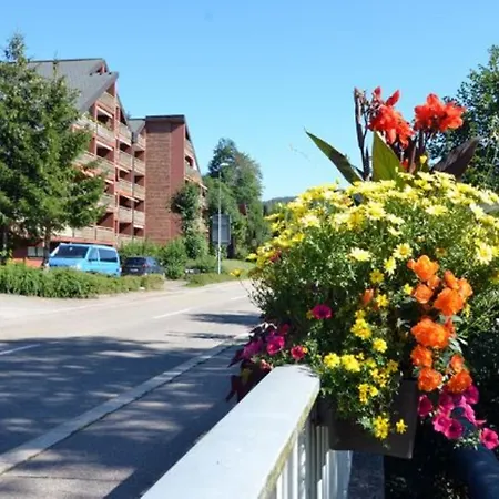 公寓 Schwarzwaldidylle