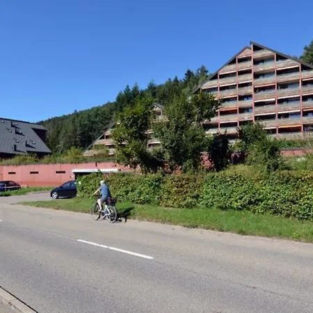 Schwarzwaldidylle * 拜尔斯布龙