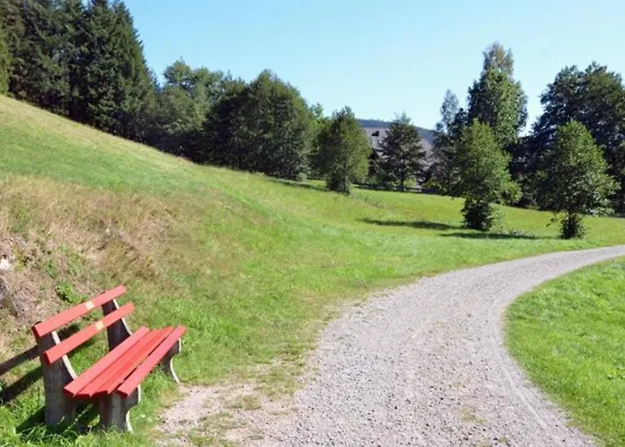 Schwarzwaldidylle Apartamento *